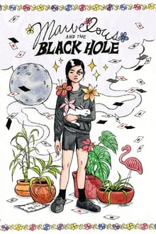 Poster do filme Marvelous and the Black Hole