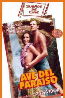 Ave del paraíso
