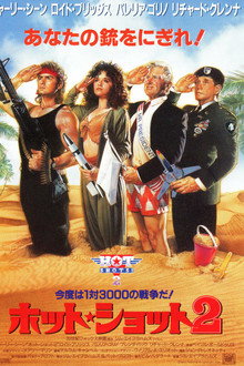 ホット・ショット2