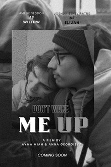 Don't Wake Me Up