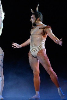 Les Ballets de Monte Carlo: Le Songe