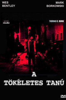 A tökéletes tanú