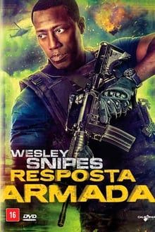 Poster do filme Resposta Armada