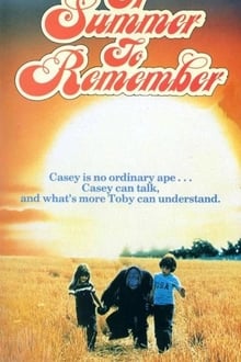 Poster do filme A Summer to Remember