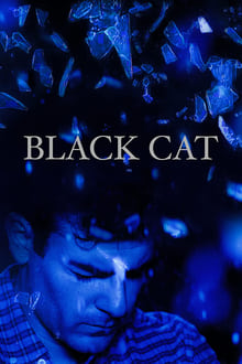 Poster do filme Black Cat