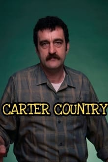 Poster da série Carter Country