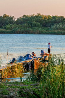 Wild Danube
