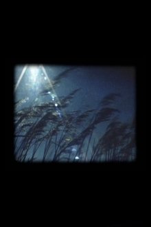 Les-films-rêvés