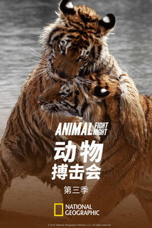 第 3 季