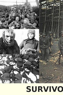 Survivors of Stalingrad