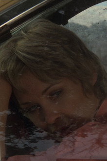 Cujo