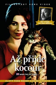 When the Cat Comes WEB DL 