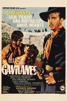 Los Gavilanes