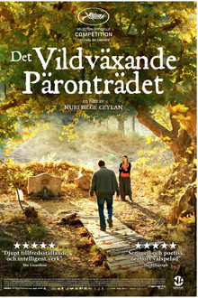 Det vildväxande päronträdet