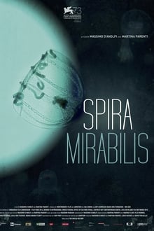 Poster do filme Miraculous Spiral