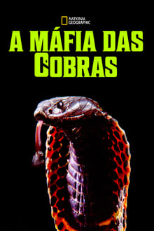 Poster do filme A Máfia das Cobras