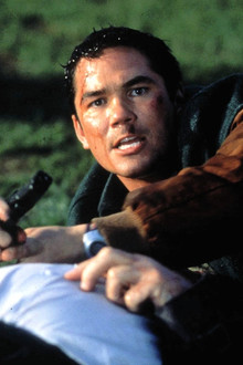Phase IV