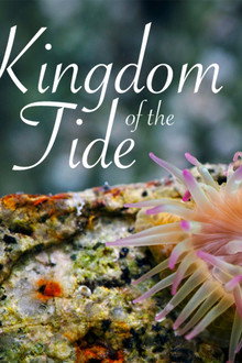 Kingdom of the Tide