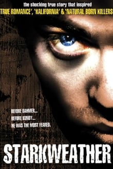 Poster do filme Fúria Assassina