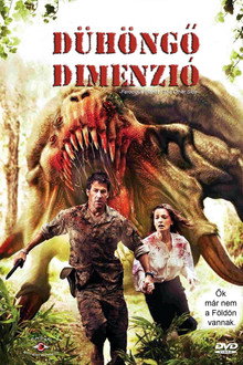 Dühöngő dimenzió