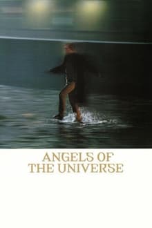 Poster do filme Angels of the Universe