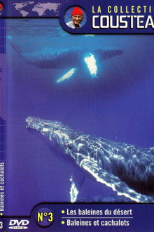 La collection Cousteau N°3 | Les baleines du désert | Baleines et cachalots