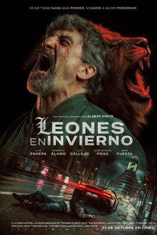 Leones en invierno