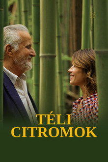 Téli citromok