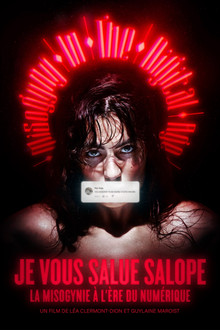 Je vous salue salope : La misogynie au temps du numérique
