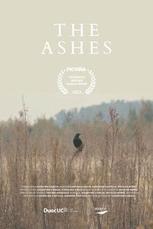 The Ashes