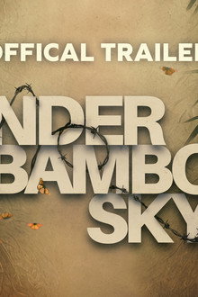 Under a Bamboo Sky