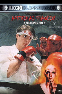 Az Amerikai Shaolin