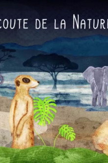 À l’écoute de la nature