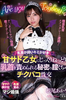 乳首が弱いキミが好き 甘サド乙女にじっくりねっとり乳首を責められる秘密の膣くちゃチクパコ性交