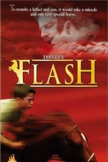 Poster do filme Meu Amigo Flash