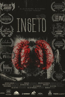 Inseto