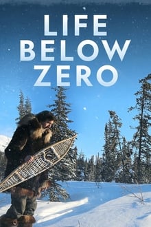 Life Below Zero tv show poster