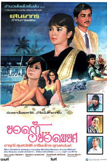 ยอดรักยอดพยศ