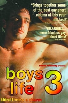 Poster do filme Boys Life 3