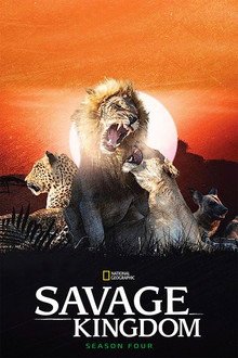 Season 4