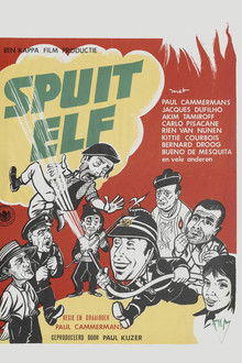 Andy... Andy Silly Andy