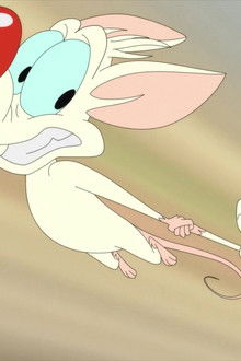 Animaniacs season 2 episode 21