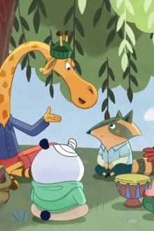 Polo sans bobo