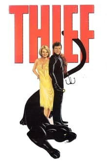 Poster do filme Thief