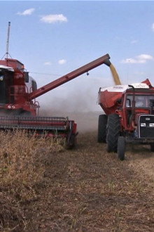 Vers un crash alimentaire