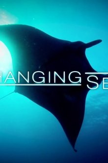 Changing-Seas