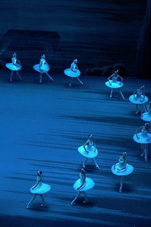 Tchaikovsky - Swan Lake (The Bolshoi Ballet Collection)
