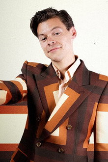 Harry Styles: The Finishing Touch