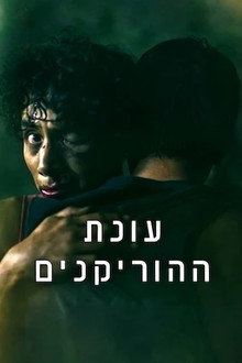 עונת ההוריקנים