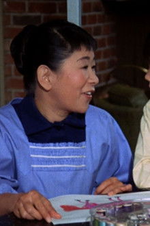 The Courtship of Eddie's Father - Season 2